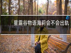 星露谷物语海莉会不会出轨