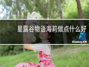 星露谷物语海莉做点什么好
