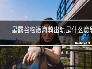 星露谷物语海莉出轨是什么意思
