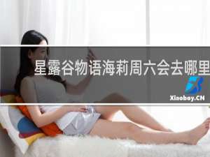 星露谷物语海莉周六会去哪里