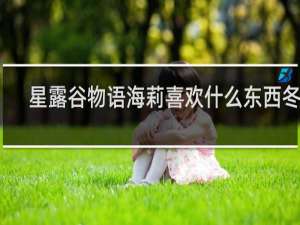星露谷物语海莉喜欢什么东西冬天