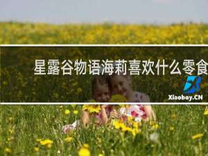 星露谷物语海莉喜欢什么零食