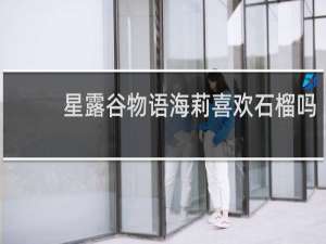 星露谷物语海莉喜欢石榴吗