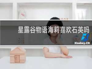 星露谷物语海莉喜欢石英吗