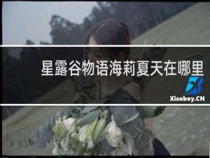 星露谷物语海莉夏天在哪里