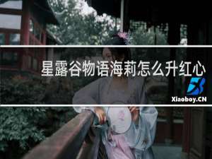 星露谷物语海莉怎么升红心