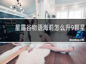 星露谷物语海莉怎么升9颗星