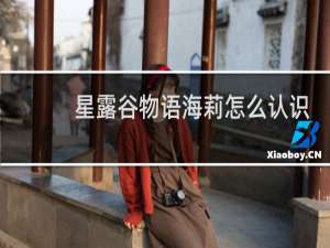 星露谷物语海莉怎么认识