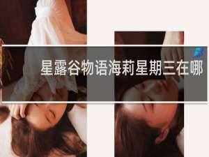 星露谷物语海莉星期三在哪