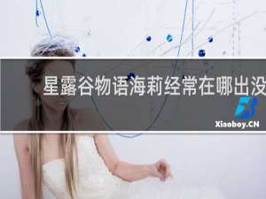 星露谷物语海莉经常在哪出没