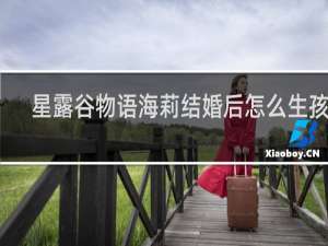 星露谷物语海莉结婚后怎么生孩子