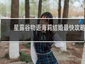 星露谷物语海莉结婚最快攻略