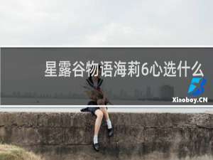 星露谷物语海莉6心选什么