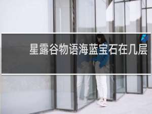 星露谷物语海蓝宝石在几层