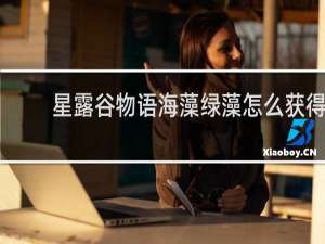 星露谷物语海藻绿藻怎么获得