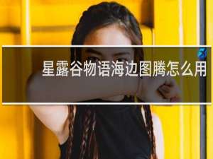 星露谷物语海边图腾怎么用