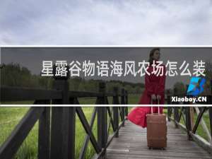 星露谷物语海风农场怎么装