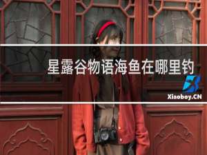 星露谷物语海鱼在哪里钓