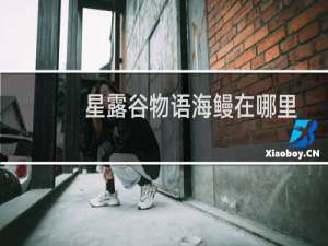 星露谷物语海鳗在哪里