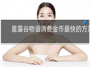 星露谷物语消费金币最快的方法