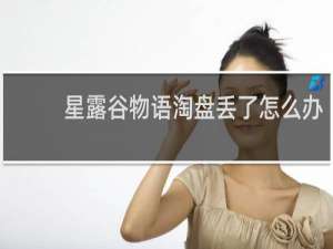 星露谷物语淘盘丢了怎么办