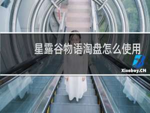 星露谷物语淘盘怎么使用