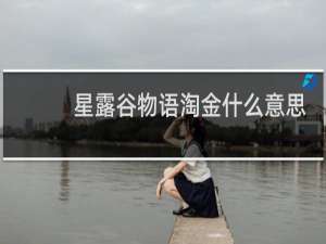 星露谷物语淘金什么意思
