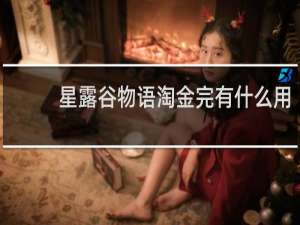星露谷物语淘金完有什么用