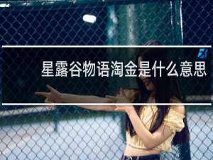 星露谷物语淘金是什么意思