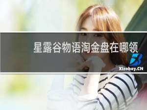 星露谷物语淘金盘在哪领