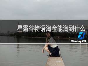 星露谷物语淘金能淘到什么