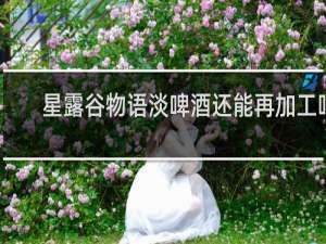 星露谷物语淡啤酒还能再加工吗