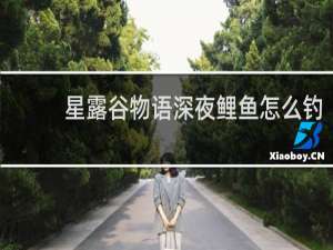 星露谷物语深夜鲤鱼怎么钓
