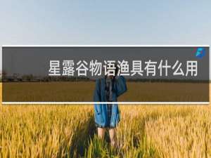 星露谷物语渔具有什么用