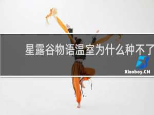 星露谷物语温室为什么种不了