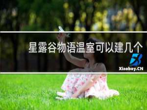 星露谷物语温室可以建几个