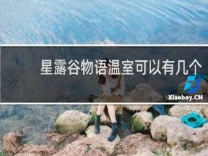 星露谷物语温室可以有几个