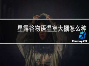 星露谷物语温室大棚怎么种