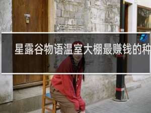 星露谷物语温室大棚最赚钱的种植