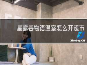 星露谷物语温室怎么开超市