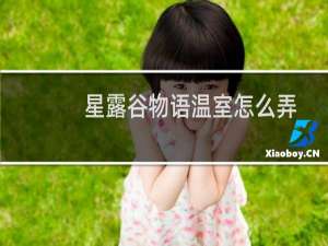 星露谷物语温室怎么弄