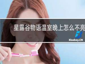 星露谷物语温室晚上怎么不亮