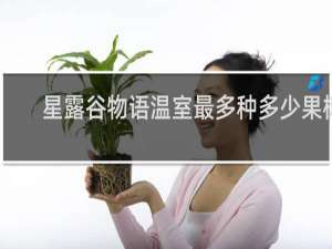 星露谷物语温室最多种多少果树