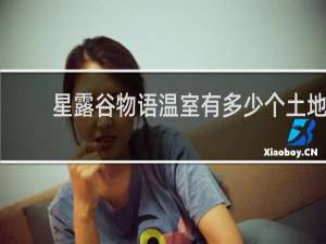 星露谷物语温室有多少个土地