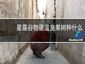 星露谷物语温室果树种什么