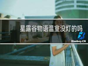 星露谷物语温室没灯的吗