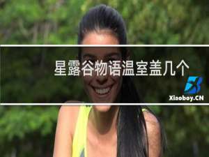 星露谷物语温室盖几个