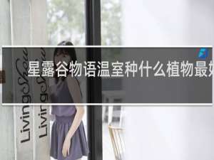 星露谷物语温室种什么植物最好