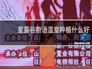 星露谷物语温室种植什么好