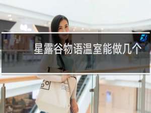 星露谷物语温室能做几个